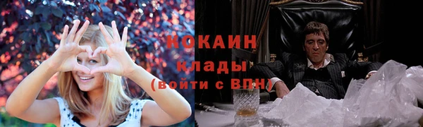 дмт Богданович