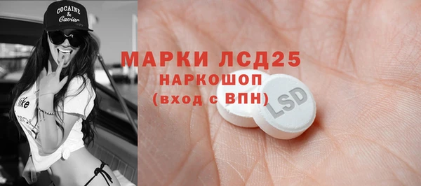 спиды Богородск