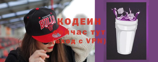 соль ск Бородино