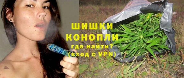 соль ск Бородино