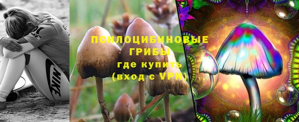 спиды Богородск