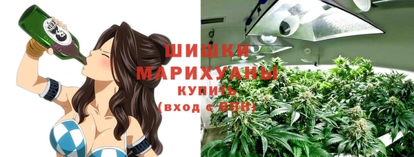 соль ск Бородино
