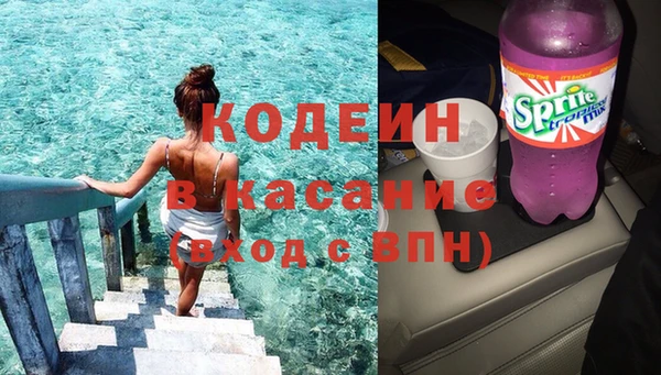 соль ск Бородино