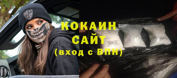 дмт Богданович