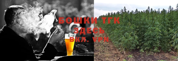 спиды Богородск