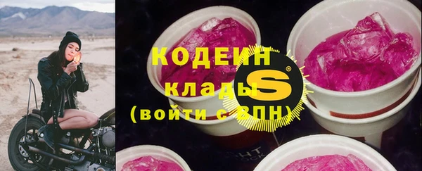 дмт Богданович