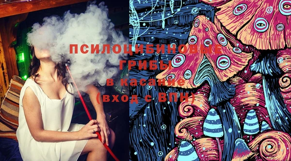 соль ск Бородино